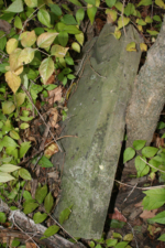 An overturned tombstone that was too weathered to read.