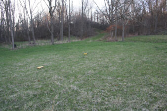 A picnic table and trash can were in the treeline.
