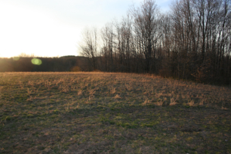 The field behind the memorial.