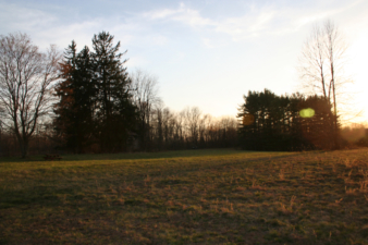 This was the area where the control car landed.