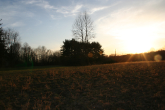 Two engine cars landed at site one as well.