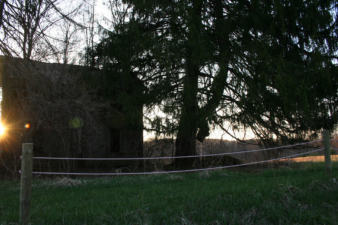 The old Gamary farmhouse stood abandoned.