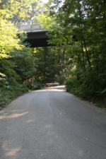 The section of Walhalla Road directly in front of Mooney's Mansion.