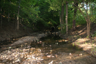 This small creek is where witnesses have reportedly seen the victims' reflections.