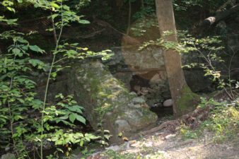 This appeared to be a footbridge crossing the creek.