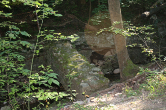 This appeared to be a footbridge crossing the creek.