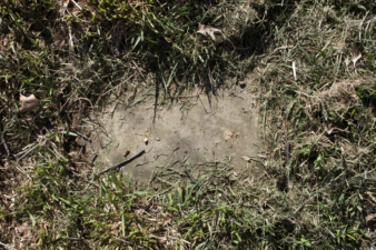 One of several markers original to the cemetery.