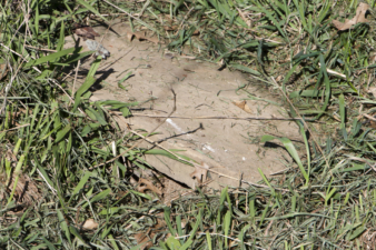 The original stones were embedded into the ground and illegible.