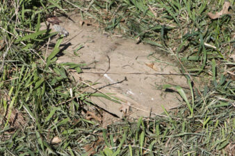 The original stones were embedded into the ground and illegible.
