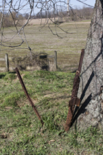 A couple of old iron posts next to a tree. Perhaps they once held a sign or served as a fence.