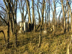 Williams Family Cemetery was in a thick grove of trees east of U.S. Route 23.