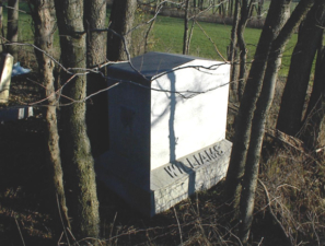 The large granite Williams family stone.