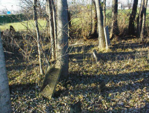 Another view of the cemetery. The tombstone against the tree in the foreground belonged to a member of the Howlett family.