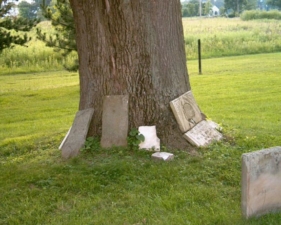 The tree also doubled as a place to put lost tombstones.